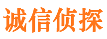 津市侦探调查公司